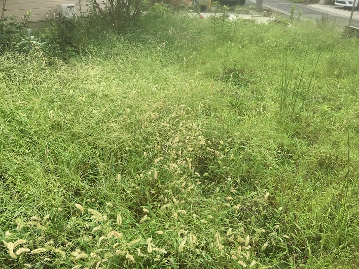 もう雑草で悩まない！庭の見栄えもよくなるおすすめ雑草対策（費用も公開） 横浜市の外構工事（エクステリア）専門業者