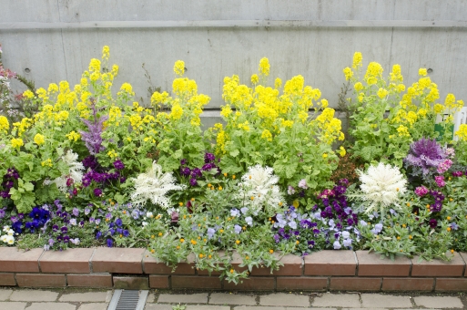 ｄｉｙで簡単に花壇を作る方法 花壇用ブロックを使用する 横浜市の外構工事 エクステリア 専門業者 石川デザイン企画